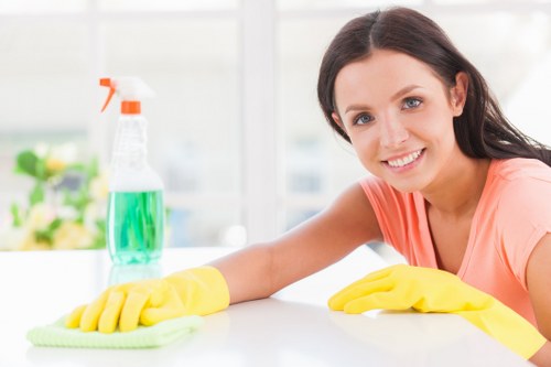 Domestic cleaning essentials in a bright modern living room