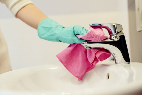 Regular cleaning supplies arranged for home maintenance
