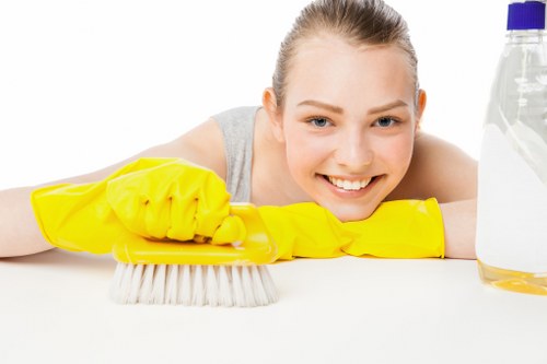 Cleaning supplies used for a thorough move in cleaning