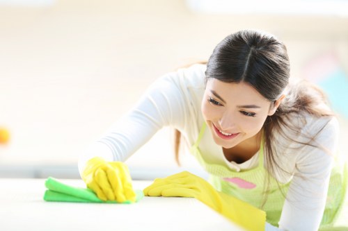 Step-by-step sofa cleaning process in a home setting