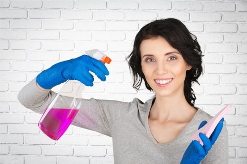 Deep cleaning tasks in a bathroom and kitchen setting