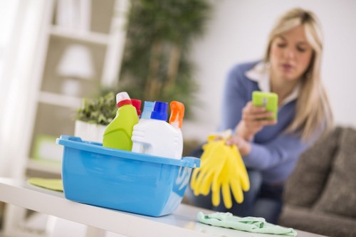 Professional cleaning tools used for regular upkeep