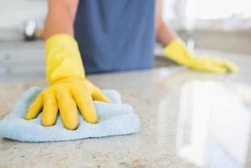 Cleaning supplies arranged for oven cleaning preparation