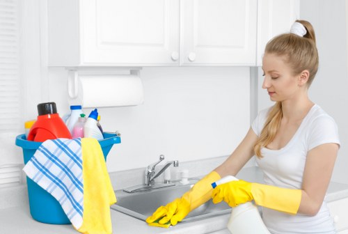 Bathroom deep cleaning with scrubbing and sanitizing tasks
