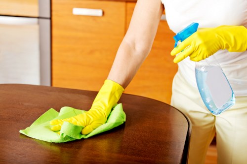 Professional oven cleaning service restoring a heavily soiled oven