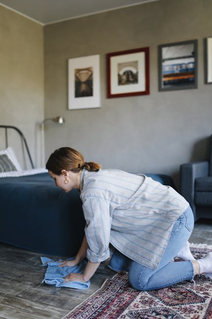 A young boy is using a vacuum cleaner to deliver surface cleaning and deep cleaning in a bright, well-lit living room of a residential home in Putney SW15. The room features light-colored sofas with m