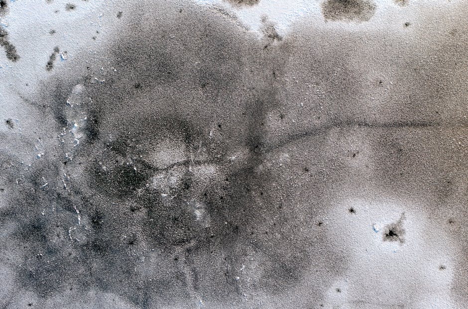 Close-up of a concrete basement wall with visible black and grey mold stains, indicating moisture problems. The surface shows irregular patches of mold growth, some with fuzzy textures, contrasting ag